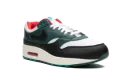 Air Max 1 "LeBron James x Liverpool" FB8914 100