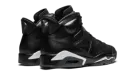 Air Jordan 6 Retro "Black Cat" 384664 020