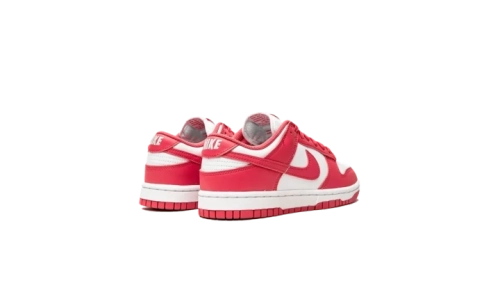 Dunk - Archeo Pink