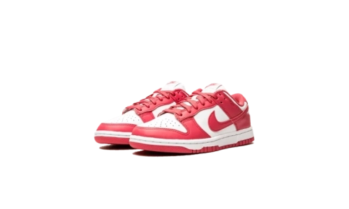 Dunk - Archeo Pink