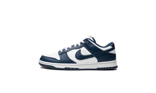Dunk - Valerian Blue
