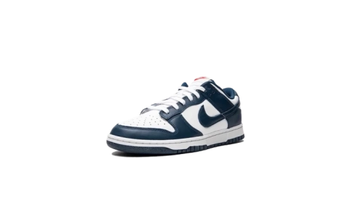 Dunk - Valerian Blue