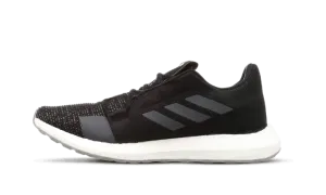 SenseBoost Go EG0960