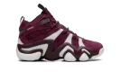 Crazy 8 "Maroon Off White" JI0331