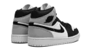 AIR JORDAN 1 MID SE WMNS "Light Steel Grey" DV0427 100