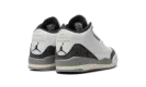 Air Jordan 3 PS "Cement Grey" DM0966 106