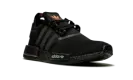 NMD_R1