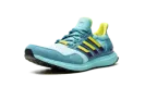 UltraBoost 1.0 DNA "Aqua ZX 8000" H05263