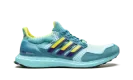 UltraBoost 1.0 DNA "Aqua ZX 8000" H05263