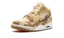 Air Jordan 3 WMNS "Desert Camo" HM4301 200