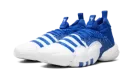 Trae Young 2.0 "Royal Blue" H03839