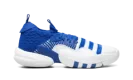 Trae Young 2.0 "Royal Blue" H03839