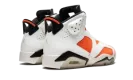 Air Jordan 6 Retro "Gatorade" 384664 145