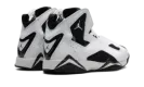 Jordan True Flight "White Black" HF4832 100