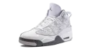 AIR JORDAN DUB ZERO "White / Cool Grey" 311046 107
