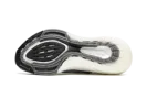 UltraBoost 21 FY0381