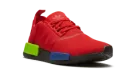 NMD_R1
