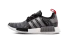 NMD_R1