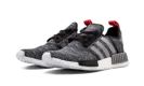NMD_R1