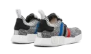 NMD_R1 PK "Tri-Color" BB2888