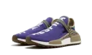 NMD Humanrace Trail "Pharrell Williams - Friends and Family Respira" AC7187