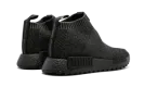 NMD_CS1 PK TGWO