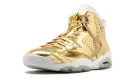 Air Jordan 6 Retro P1NNACLE "Pinnacle" 854271 730