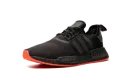NMD_R1