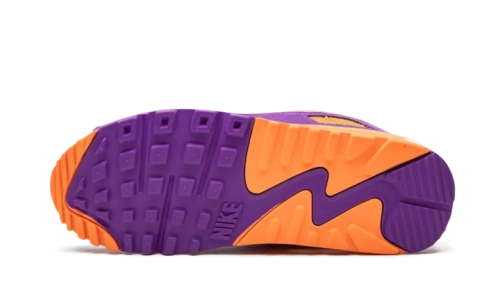 Air Max 90 - Viotech OG