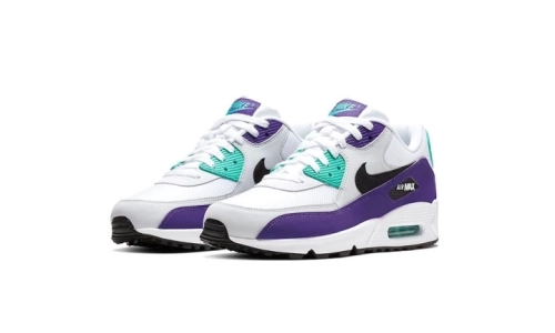 Air Max 90 - Grape