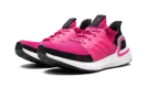 ULTRABOOST 19 WMNS G27485