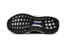 ULTRABOOST S&L DNA WMNS