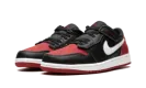 Air Jordan 1 Low Flyease "Bred" DM1206 066