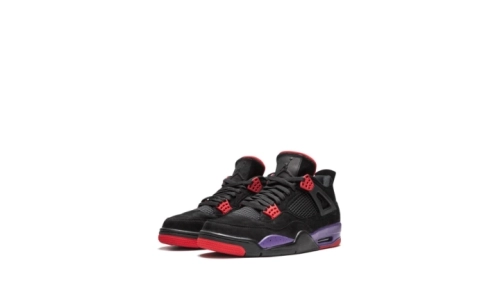 Air Jordan 4 - Raptors