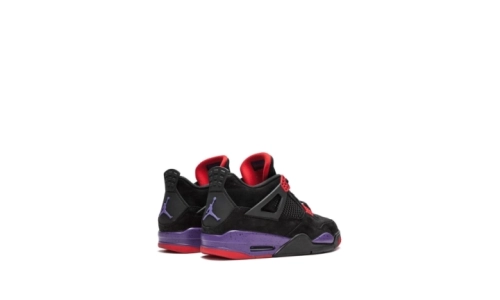 Air Jordan 4 - Raptors