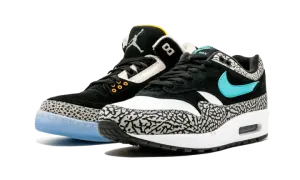 Air Jordan X Max Pack "Atmos Safari / Elephant Pack" 923098 900