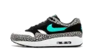 Air Jordan X Max Pack "Atmos Safari / Elephant Pack" 923098 900