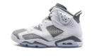 Air Jordan 6 "Cool Grey" CT8529 100