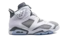 Air Jordan 6 "Cool Grey" CT8529 100