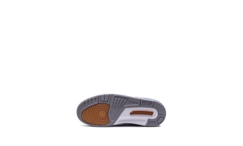 Air Jordan 3 - Wizards