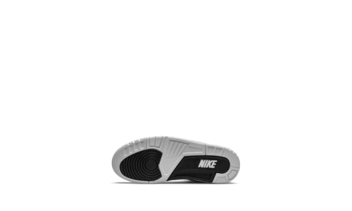 Air Jordan 3 - SP Fragment