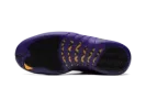 Air Jordan 12 "Field Purple" CT8013 057