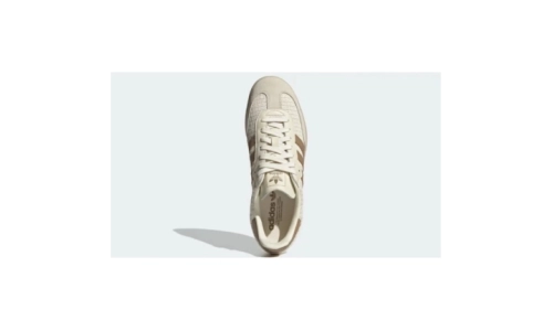 Samba OG - Cream White Cardboard