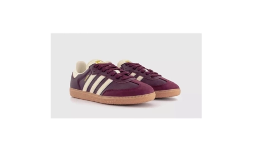 Samba OG - Maroon Cream