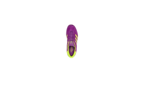 Gazelle Indoor - Shock Purple Yellow