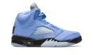 Air Jordan 5 Retro SE "UNC" DV1310 401