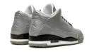 Air Jordan 3 5Lab3 "Silver" 631603 003