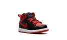 Air Jordan 1 Mid TD "Alternate Bred" DQ8425 060