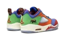 Air Jordan 5 Low "Doernbecher" DR6287 486