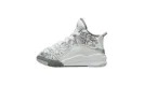 Jordan Dub Zero TD "WHITE GREY" DV1358-107
